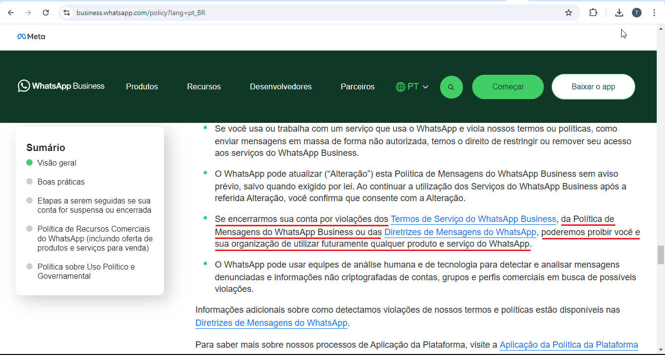 consequências para uso de api do WhatsApp Business não oficial-2